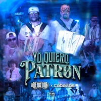 Yo Quiero Patrón - Single - Grupo Reactor De San Luis Potosí & Caballos Del Norte