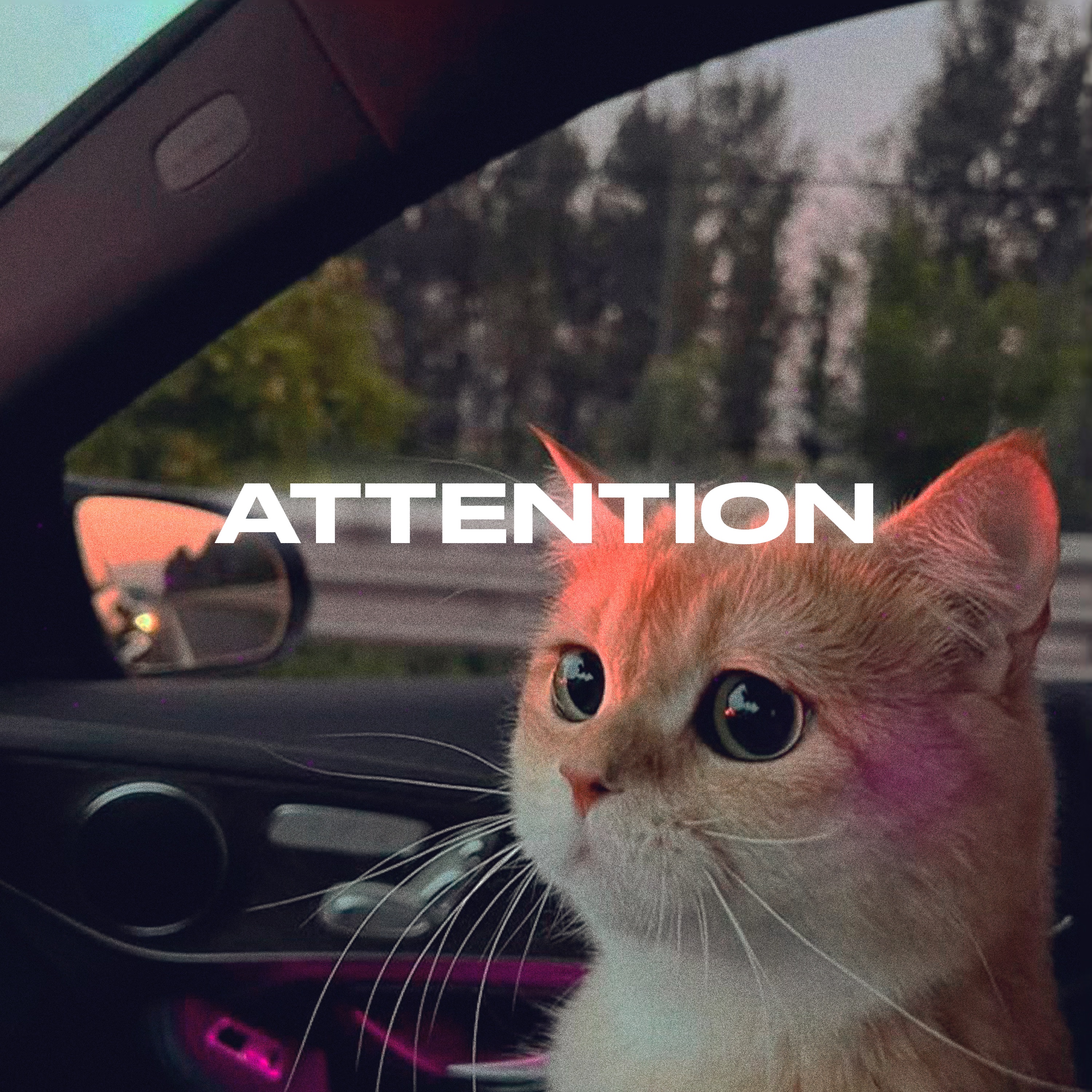 Attention - Single