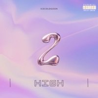2 High (feat. Organic) - Single - Icecoldgoon