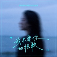 我不要你的抱歉 - Single - Wang Na