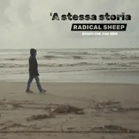 'A stessa storia — Radical Sheep