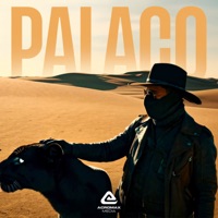 Palaço - Single - Skivi