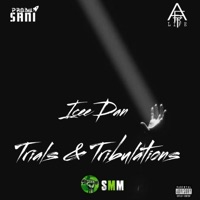 Trials & Tribulations - Single - Icee Dan