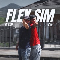 Flex Sim - Single - BlameReall & KW