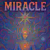 System ID - MIRACLE (Fragma - Toca´s Miracle Remix)