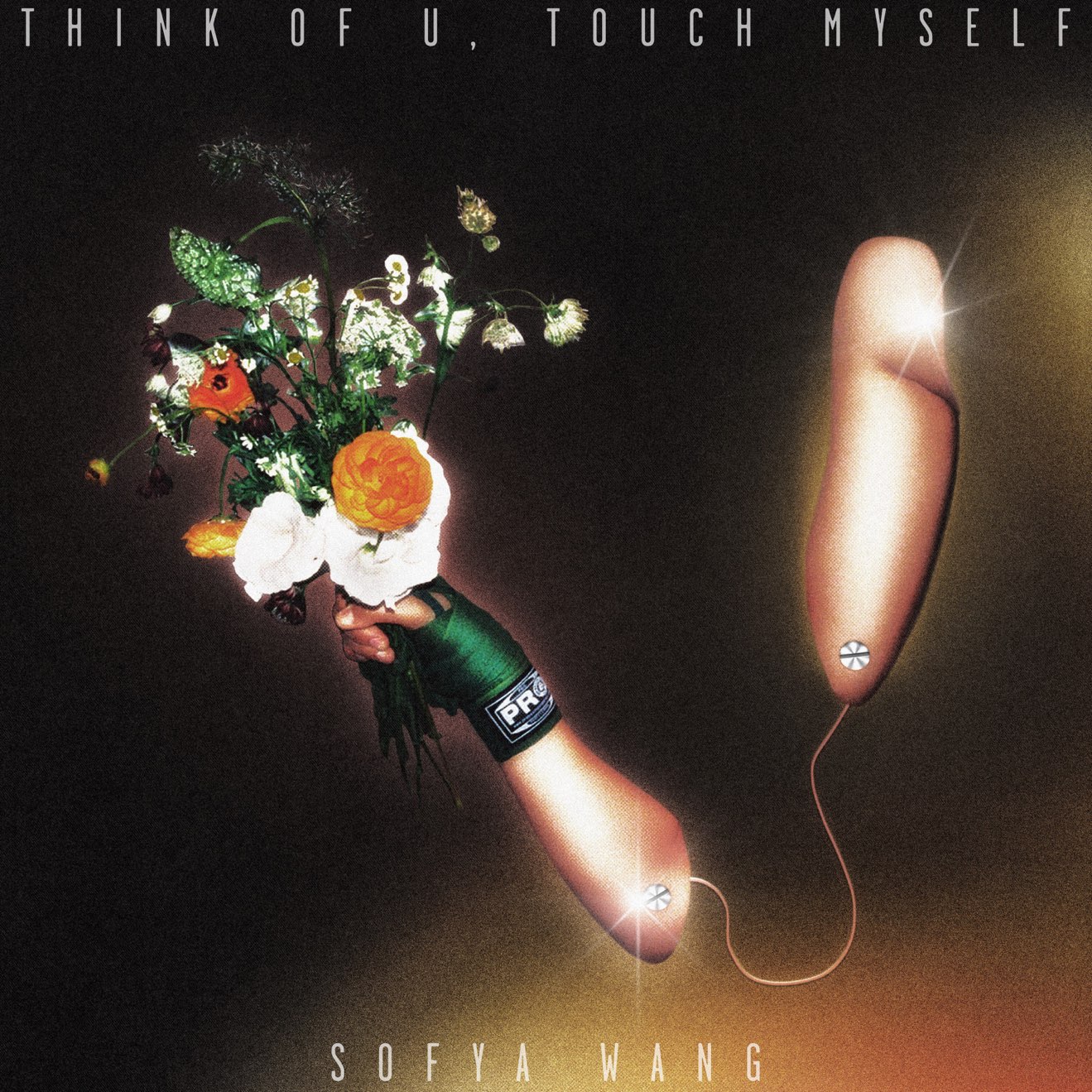 Sofya Wang – think of u, touch myself – Single (2024) [iTunes Match M4A]