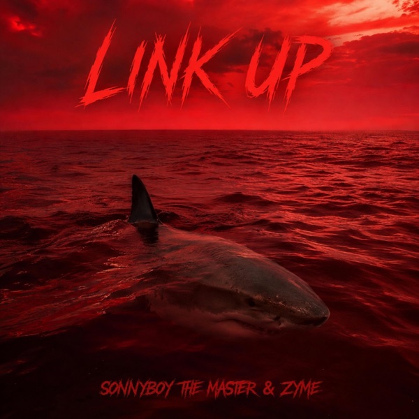 Link Up (feat. Zyme)