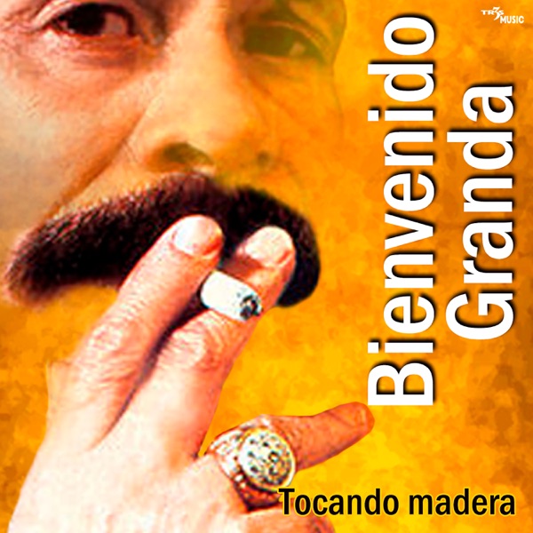 Tocando Madera Vol. 2