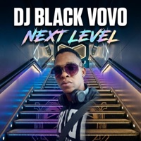 Album cover for Future by Black Vovo