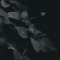 Day Catcher - Pianiso lyrics