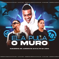 Ela Pula o Muro - Single - Duduzinho & Mc Juninho da 10