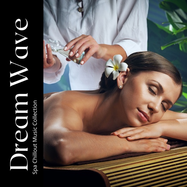 Dream Wave: Relaxation Music