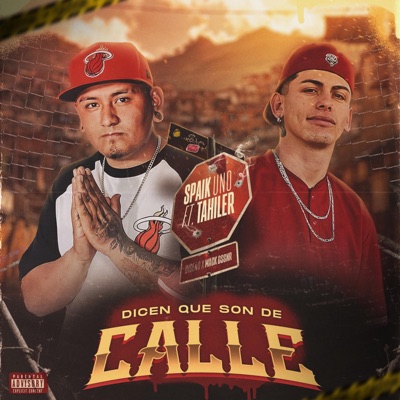 Dicen Que Son De Calle (feat. Tahiler) - Single