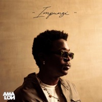 Impunzi - Single - Amalon