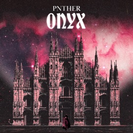 Onyx PNTHER