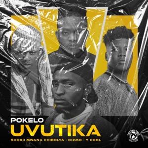 UVUTIKA (feat. Dizmo, Shokii & Y-Cool) - Single