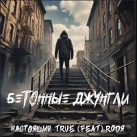 Бетонные джунгли (feat. Rodя) - Single - НАСТОЯЩИЙ TRUE