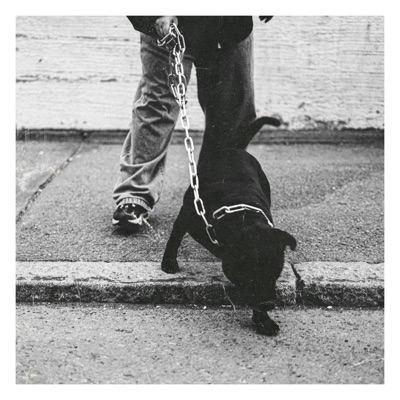 SARAJEVON LAUKAUKSET - Single