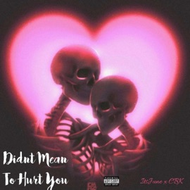 Didn't Mean To Hurt You (feat. itsJUNE) CBK