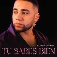 Tu sabes bien — Elvis Martinez