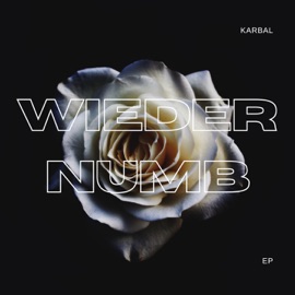 WIEDER NUMB Karbal