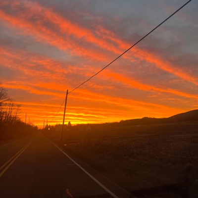 You're Gone - Single