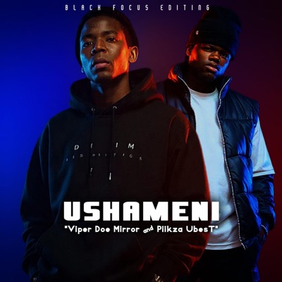 Ushameni (feat. Piikza U Best) - EP