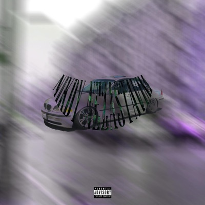 Nikdy Nezastavím (feat. Cally Freak) - Single
