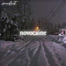 Novocaine (Sped Up) zonedaut