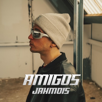 AMIGOS (feat. Barnaggi) - Single