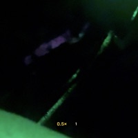 Lil poodie (feat. Gbandz) - Single - Aceupnext