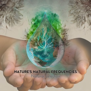 Live Nature Recordings Solfeggio Infused - EP