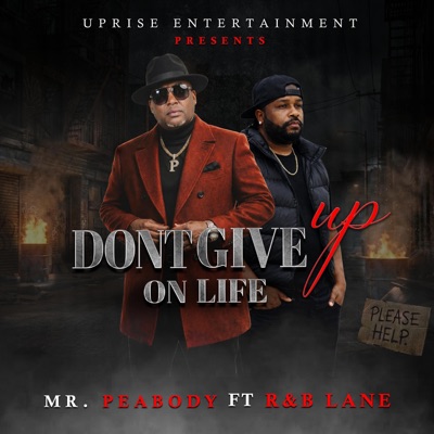 Don't give up on life (feat. R&B LANE) - Single