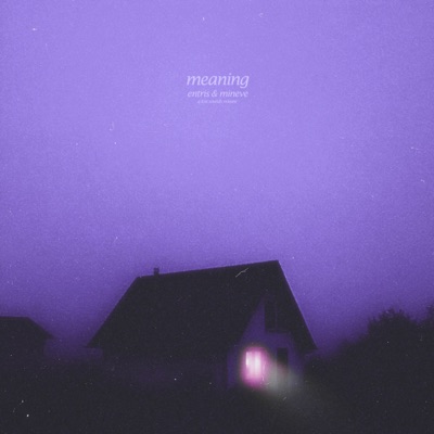 meaning (slowed + reverb) - Single