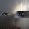 Ecstatic Computation - Caterina Barbieri