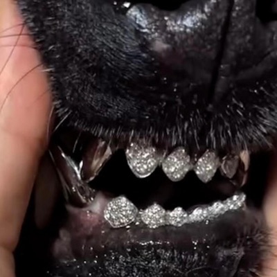 Is it a crime ? - Single