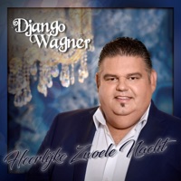 Heerlijke Zwoele Nacht - Django Wagner