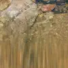 water splashed stone