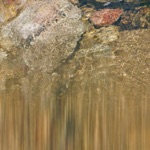 water splashed stone - Single