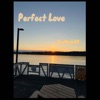 Perfect Love - Single