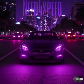 Need4Speed v6ix