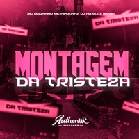 Montagem da Tristeza (feat. MC Pipokinha & Mc Magrinho) - Single - DJ HG MLK É BRABO