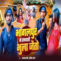 Bhagalpur Me Rangdari Bula Jaeto - Single - Sajjad Premi & Partima Arya