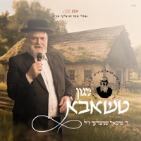 Tshaba - Single - Michoel Schnitzler