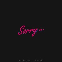 Sorry Pt. 1 (feat. Numbxiller) - Single - Shvdy