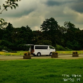 מאוחר מידי Ziv Fleisher