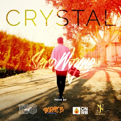 Crystal (feat. Borys Beats & Fluya) - Single