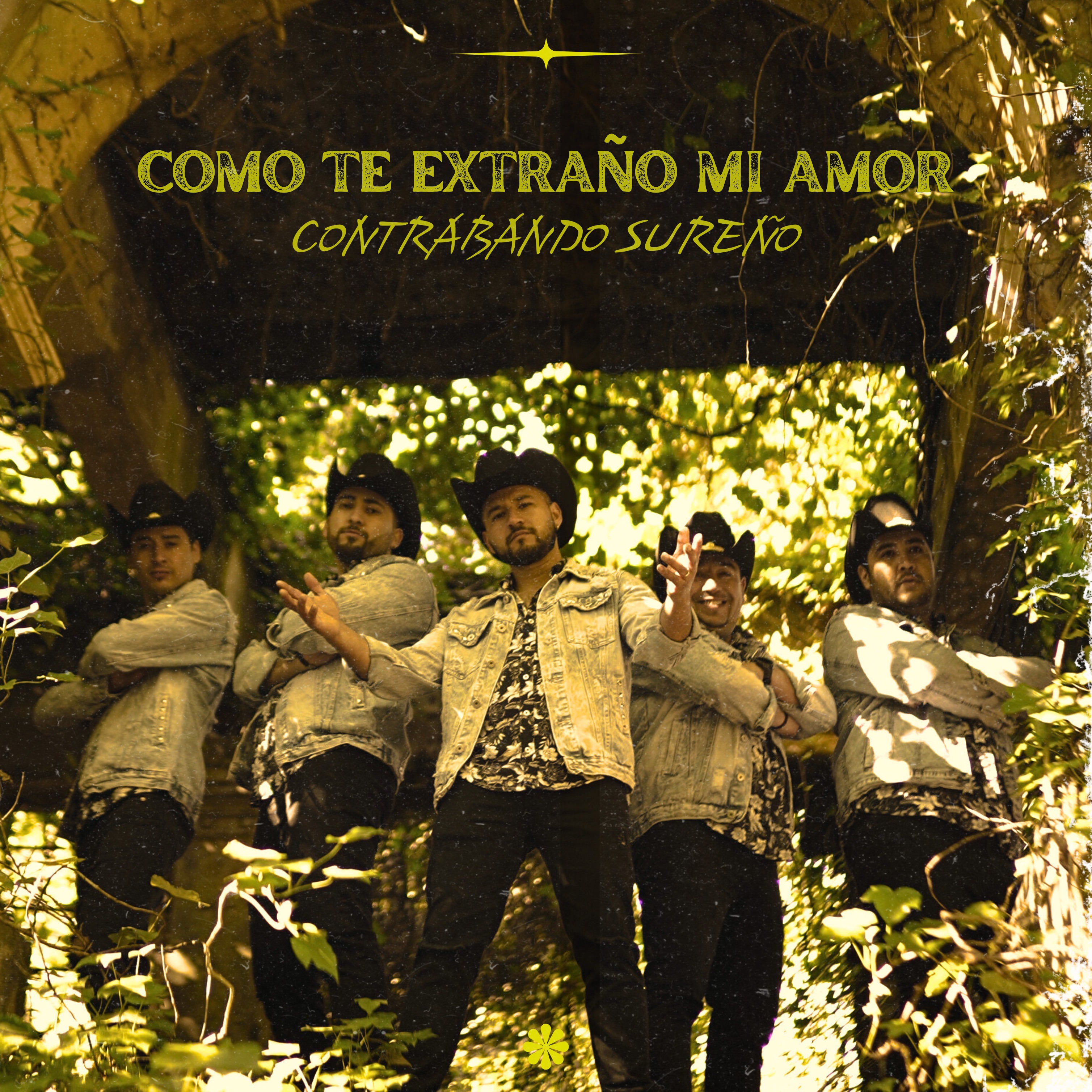 Como Te Extraño Mi Amor - Single