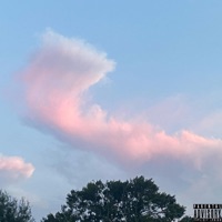 What I Be On - Single - Apache Chief