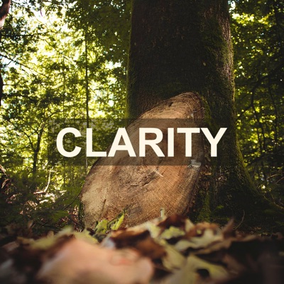 Clarity - Single